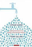 Virtual Water (eBook, ePUB)