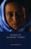 Kurds of Modern Turkey (eBook, PDF)