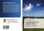 Biomass Degradation and Lovastatin Production by Aspergillus Terreus