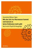 Wie das Salz ins Meerwasser kommt und warum es keine Eisblumen mehr gibt (eBook, ePUB)