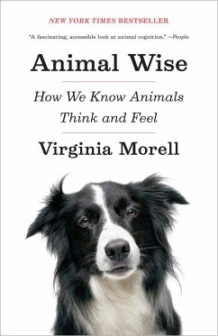Animal Wise - Morell, Virginia