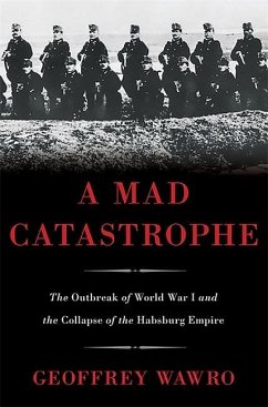 A Mad Catastrophe - Wawro, Geoffrey