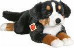 Teddy Hermann 92781 - Berner Sennenhund liegend