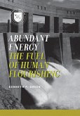 Abundant Energy (eBook, ePUB)