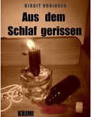 Aus dem Schlaf gerissen (eBook, ePUB)