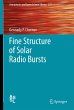 Fine Structure of Solar Radio Bursts - Bild 1