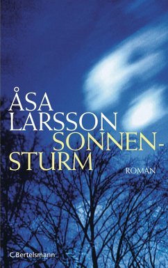 Sonnensturm (eBook, ePUB) - Larsson, Åsa