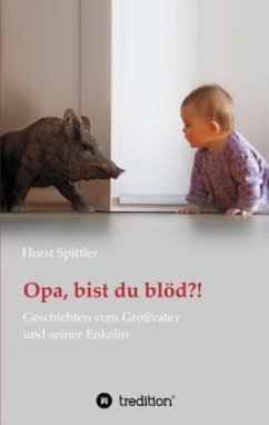 Opa, bist du blöd?! - Spittler, Horst