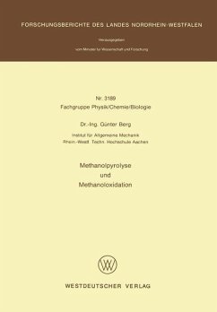 Methanolpyrolyse und Methanoloxidation - Berg, Günter