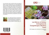 Les Micros et Petites Entreprises de Ouagadougou (Burkina Faso)