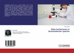 Beta lactamases in Acinetobacter species