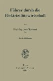 Führer durch die Elektrizitätswirtschaft