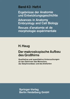 Der makroskopische Aufbau des Großhirns - Haug, H.