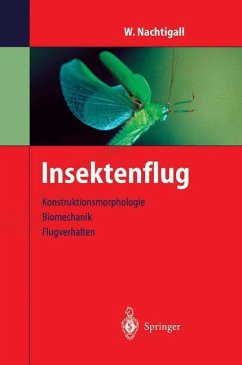 Insektenflug - Nachtigall, Werner