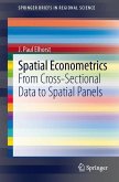 Spatial Econometrics