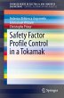 Safety Factor Profile Control in a... - Bild 1