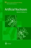 Artificial Nucleases