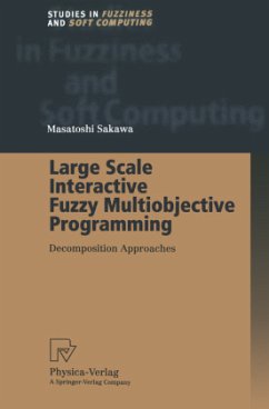 Large Scale Interactive Fuzzy Multiobjective Programming - Sakawa, Masatoshi