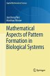 Mathematical Aspects of Pattern... - Bild 1