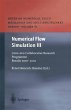 Numerical Flow Simulation III - Bild 1