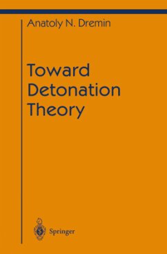 Toward Detonation Theory - Dremin, Anatoly N.