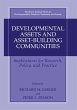 Developmental Assets and Asset-Building... - Bild 1