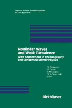 Nonlinear Waves and Weak Turbulence - FITZMAURICE; GURARIE; MCCAUGHAN
