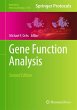 Gene Function Analysis - Bild 1