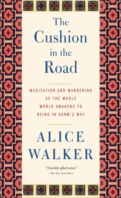 The Cushion in the Road - Walker, Alice