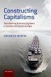 Constructing Capitalisms (eBook, PDF) - Bild 1