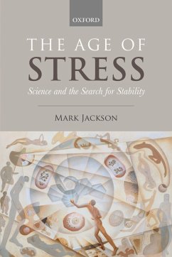 Cover The Age of Stress (eBook, PDF)