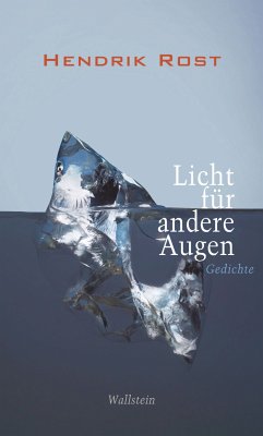 Licht für andere Augen (eBook, PDF) - Rost, Hendrik