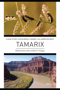 Cover Tamarix (eBook, PDF)