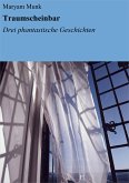 Traumscheinbar (eBook, ePUB)