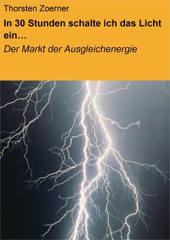 In 30 Stunden schalte ich das Licht ein… (eBook, ePUB) - Zoerner, Thorsten