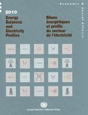 Energy Balances and Electricity Profiles 2010
