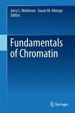 Fundamentals of Chromatin