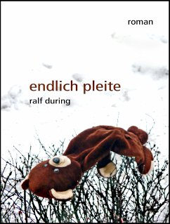 endlich pleite (eBook, ePUB) - During, Ralf