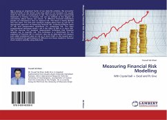 Measuring Financial Risk Modelling