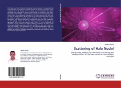 Scattering of Halo Nuclei - Maridi, Hasan