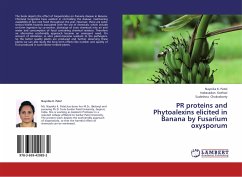 PR proteins and Phytoalexins elicited in Banana by Fusarium oxysporum - Patel, Naynika K.;Kothari, Indravadan;Chakraborty, Sudeshna