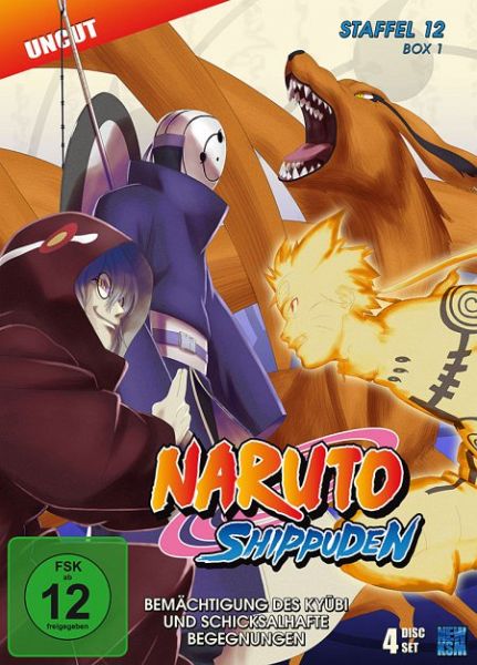 Naruto Shippuden, Staffel 12 - Teil 1 DVD-Box auf DVD - Portofrei bei  bücher.de