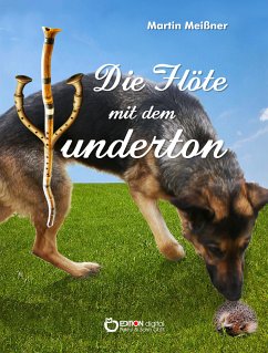 Die Flöte mit dem Wunderton (eBook, PDF) - Meißner, Martin