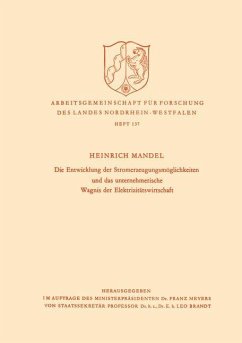 Die Entwicklung der Stromerzeugungsmöglichkeiten und das unternehmerische Wagnis der Elektrizitätswirtschaft - Mandel, Heinrich