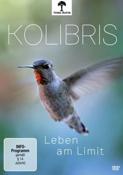 Kolibris - Leben am Limit