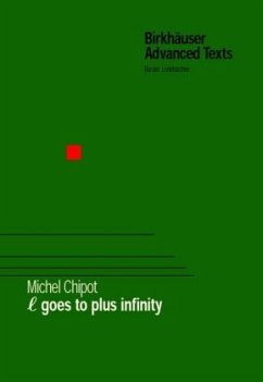 ¿ Goes to Plus Infinity - Chipot, Michel