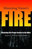 Mimicking Nature's Fire (eBook, ePUB)