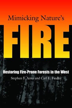 Mimicking Nature's Fire (eBook, ePUB) - Arno, Stephen F.