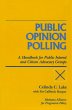 Public Opinion Polling (eBook, ePUB) - Bild 1