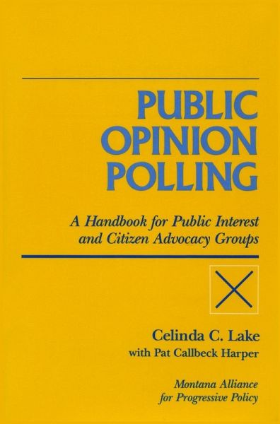 Public Opinion Polling (eBook, ePUB)